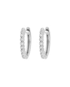 JUDE FRANCES DELICATE PROVENCE CHAMPAGNE HOOP EARRINGS, WHITE GOLD,PROD225980588