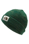 The North Face Salty Dog Beanie - Green In New Taupe Green