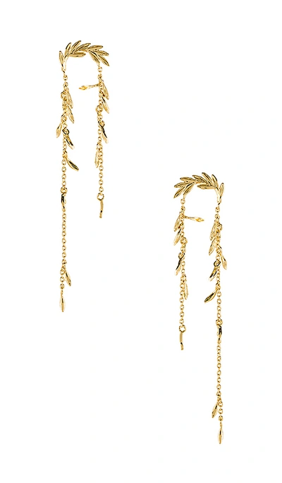 Gorjana Willow Drop Earrings In Gold