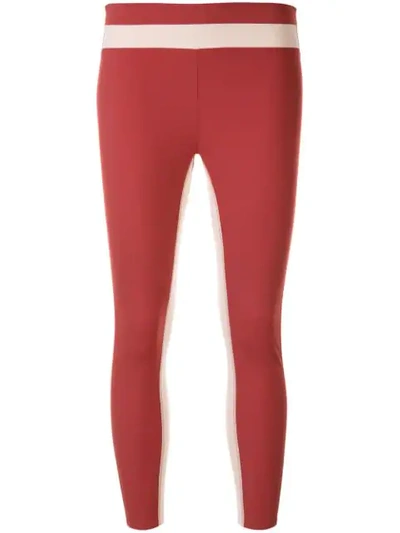 Vaara Freya Leggings In Red