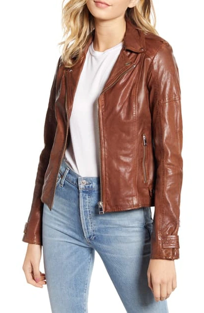Lamarque Leather Biker Jacket In Luggage