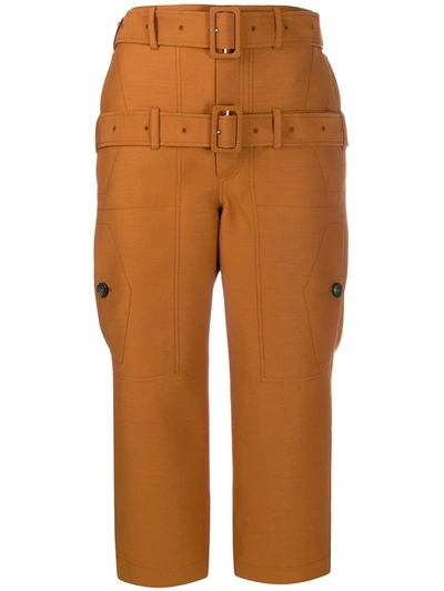 Lanvin 橙色双束带九分长裤 In Brown