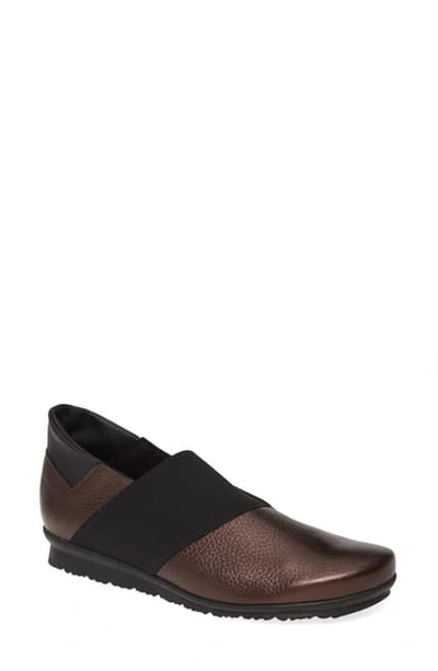 Arche Barska Water Resistant Flat In Vino/ Noir Leather