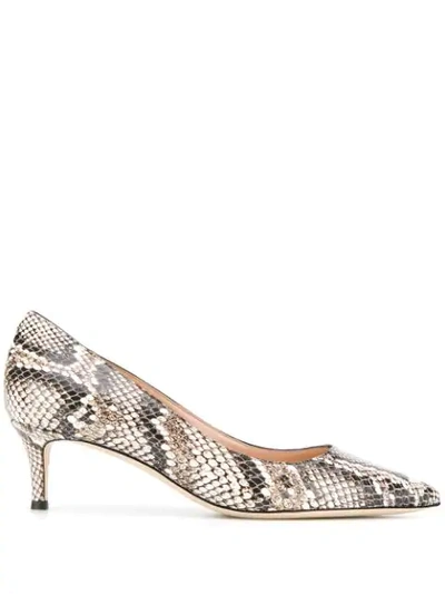 Giuseppe Zanotti Snakeskin-print Pumps In Brown