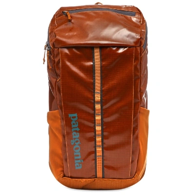 Patagonia Black Hole Pack In Yellow