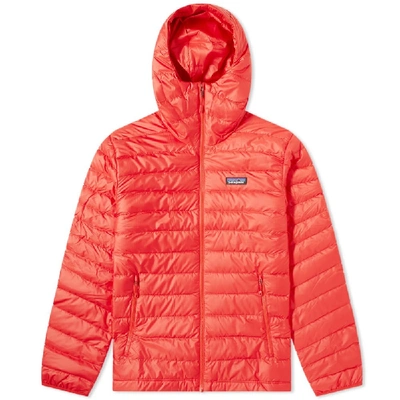 Patagonia Down Sweater Hoody In Red