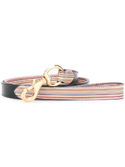 Paul Smith Striped Dog Lead In Neutrals