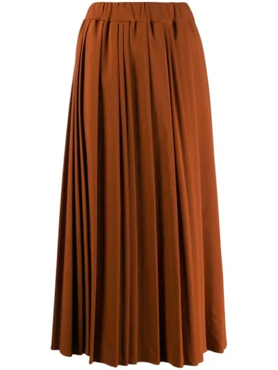 Altea Pleated Maxi Skirt In 35