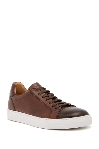 Magnanni Cuervo Leather Sneaker In Mid Brown