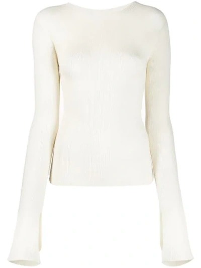 Lanvin Ribbed Fitted Jumper In Neutrals