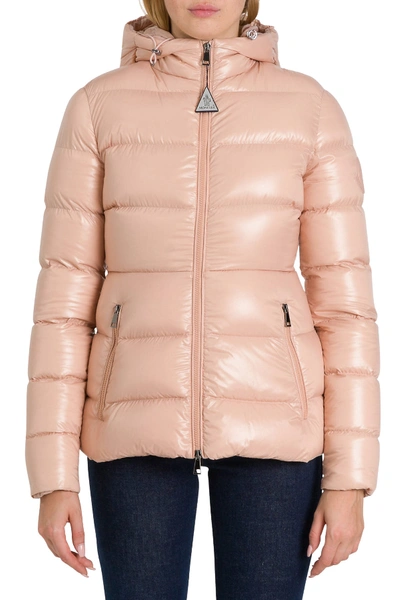 Rhin moncler deals