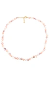 AMBER SCEATS AMBER SCEATS SMALL MULTI NECKLACE IN PINK,IVORY,METALLIC GOLD.,AMBE-WL167