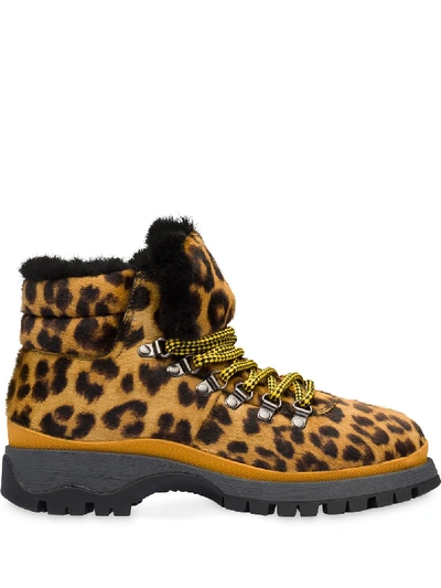 Prada Leopard Hiking Boots In Braun