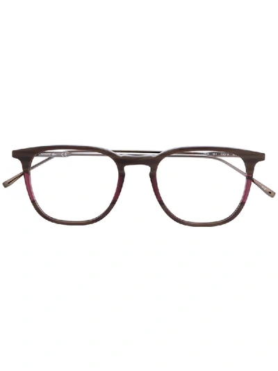 Lacoste Square Frame Glasses In Brown
