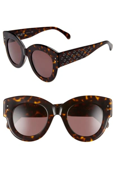 Alaïa 48mm Cat Eye Sunglasses - Dark Havana/ Brown