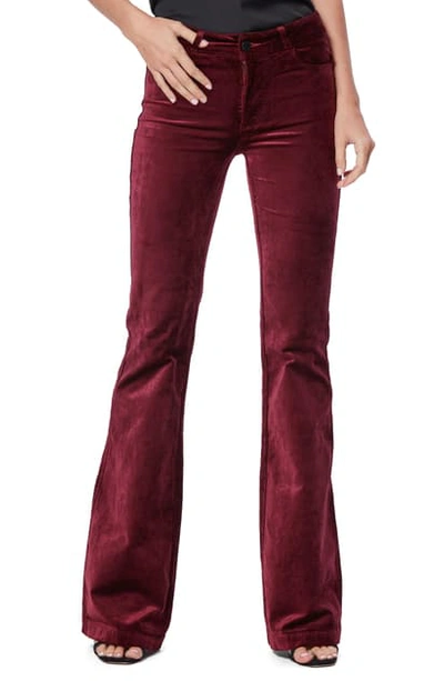 Paige Genevieve Flare Velvet Pants In Burgundy ModeSens