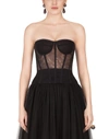 Dolce & Gabbana Sheer Cotton Stretch Tulle Corset In Black