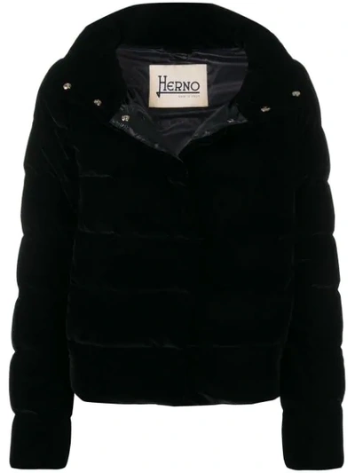 Herno High Collar Puffer Jacket In Black