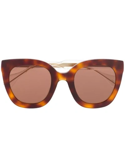 Gucci Oversized Cat Eye Sunglasses In Avana