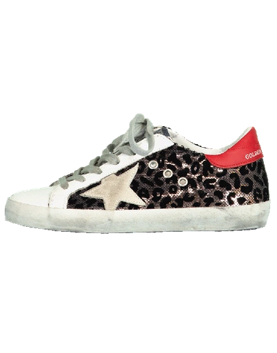 Golden Goose Superstar Sneakers In Leopard