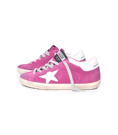 Golden Goose Superstar Sneakers In Violet Suede/white Star In Pink