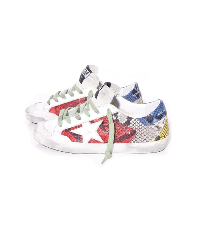 Golden Goose Superstar Sneakers In Multicolor Snake/white Star
