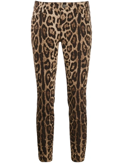 Dolce & Gabbana Leopard Print Cropped Trousers In Leo New