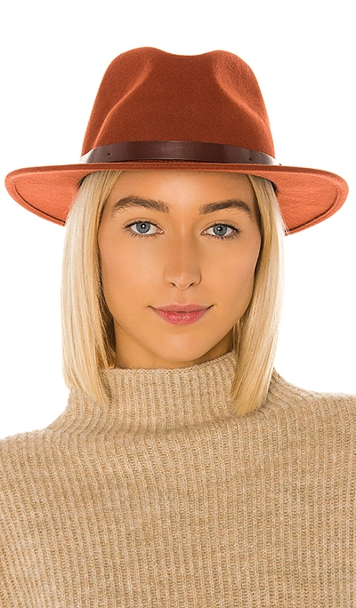 Brixton Messer Fedora In Picante