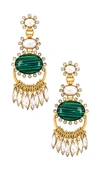 ELIZABETH COLE BONNIE EARRINGS,ELIZ-WL241