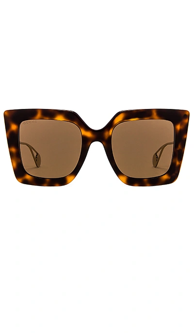 Gucci Fs Evolution Sunglasses In Brown. In Shiny Medium Havana & Brown Solid