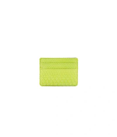 Ximena Kavalekas Cc Holder - Lime Green In Yellow