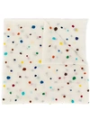 ALTEA EMBROIDERED SPOT DETAIL SCARF