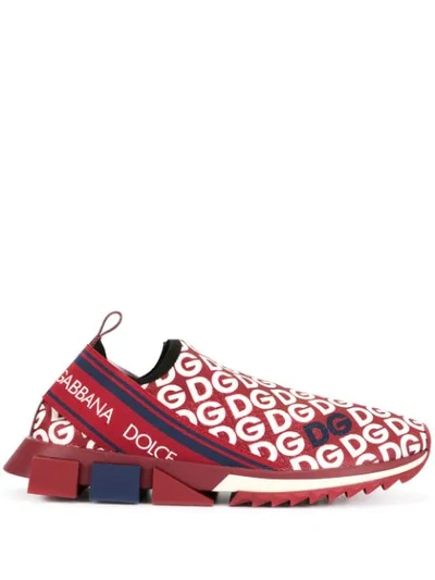 Dolce & Gabbana Knit Fabric Sorrento Trainers With Dg Mania Print In Bordeaux