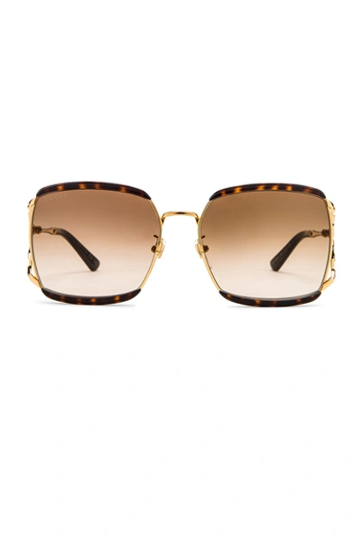 Gucci Oversized Square Sunglasses In Dark Havana & Brown