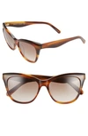 Rebecca Minkoff Lark 54mm Gradient Cat Eye Sunglasses In Brown Horn/ Brown Gradient