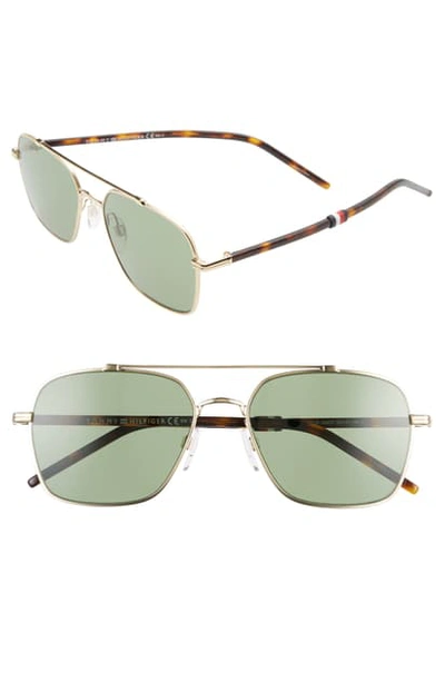 Tommy Hilfiger 55mm Aviator Sunglasses In Gold/ Green