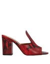 PARIS TEXAS SANDALS,11783848ID 5