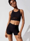 Alo Yoga Glance Bra In Black