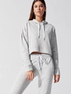 ALALA SILVER TERRY HOODIE