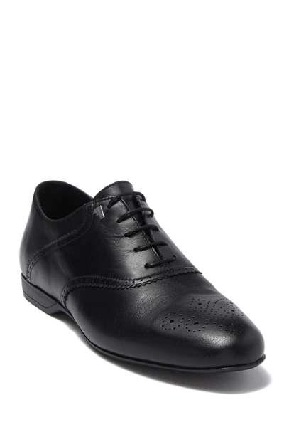 Versace Brogue Leather Oxford In Nero/nikel