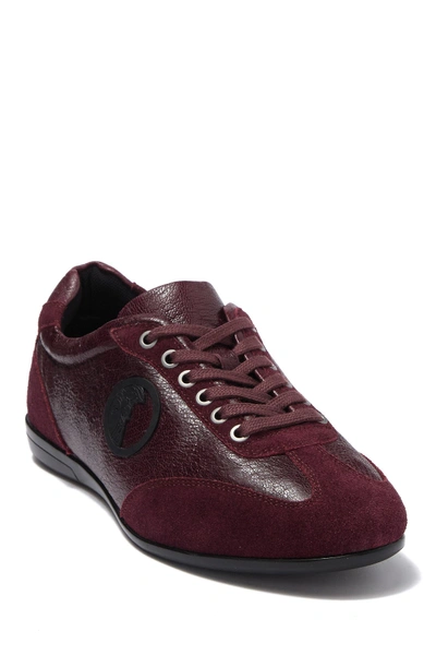 Versace Suede & Leather Racer Sneaker In Bordeaux-canna Di Fucile