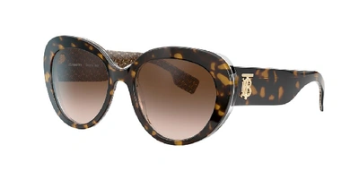 Burberry Be4298 Top Dark Havana On Tb Brown Female Sunglasses In .