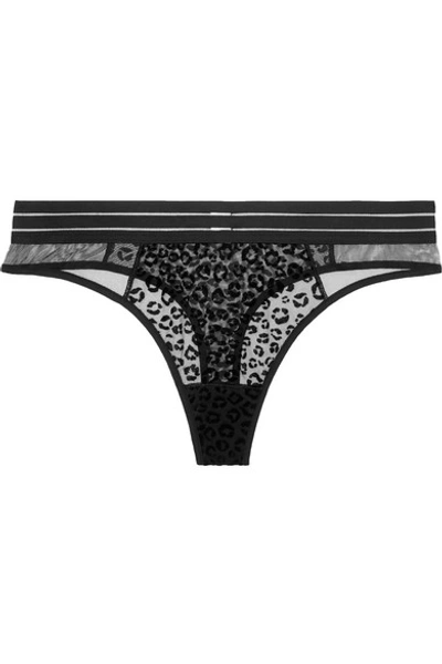 Maison Lejaby Flocked Stretch-tulle Thong In Black