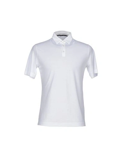 Zanone Polo Shirt In White