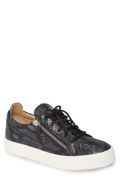 Giuseppe Zanotti Low-top Sneaker In Graphite