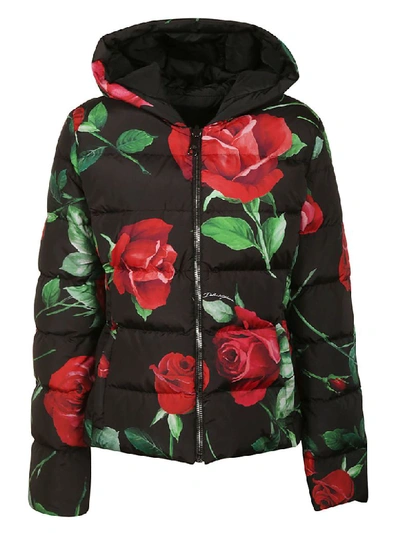 Dolce & Gabbana Rose Print Padded Jacket In Black