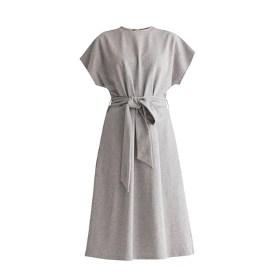 Paisie Jersey Dress With Self Belt In Light Grey In Blue,brown,grey,pink