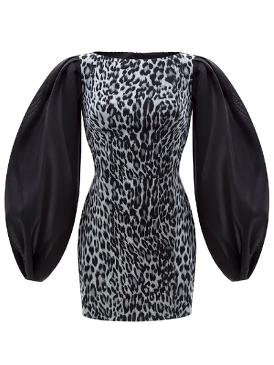 Rasario Puff Sleeve Organza And Leopard Print Chiffon Mini Dress In Black