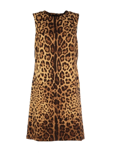Dolce & Gabbana Leopard-printed Dress In Beige,brown,black
