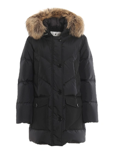 Woolrich Logo Parka Water Repellent Padded Coat In Black